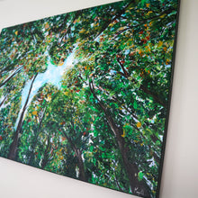 Load image into Gallery viewer, Look Up