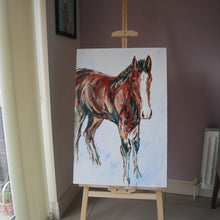 Load image into Gallery viewer, The Colt