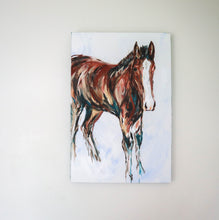 Load image into Gallery viewer, The Colt