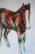 Load image into Gallery viewer, The Colt