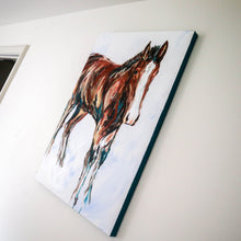 Load image into Gallery viewer, The Colt