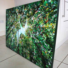 Load image into Gallery viewer, Look Up