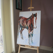 Load image into Gallery viewer, The Colt