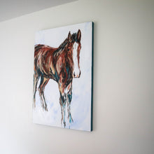 Load image into Gallery viewer, The Colt