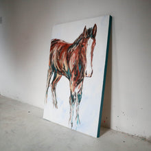 Load image into Gallery viewer, The Colt