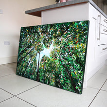 Load image into Gallery viewer, Look Up