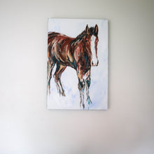 Load image into Gallery viewer, The Colt