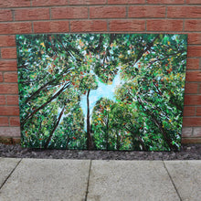 Load image into Gallery viewer, Look Up