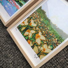 Load image into Gallery viewer, Field of Daffodils PRINT
