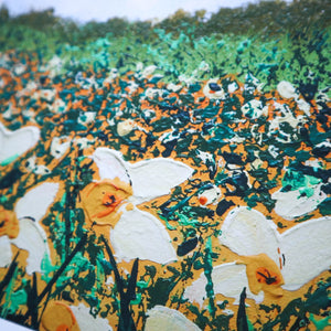 Field of Daffodils PRINT